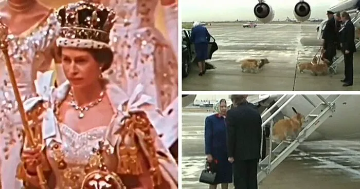 People Are Sharing Emotional Tributes To Queen Elizabeth II On TikTok, Here Are A Few That Might Bring A Tear To Your Eye