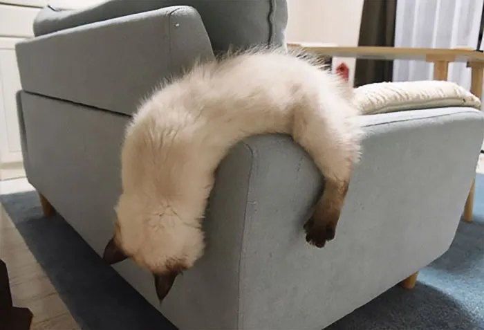 Melted