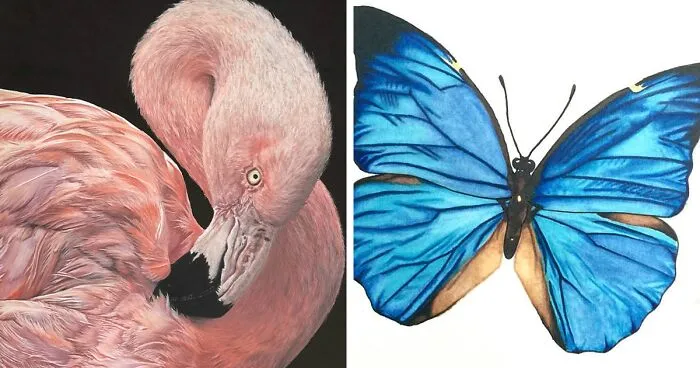 I Create Hyperrealistic Pencil Drawings Of Animals, Here Are 19 Of Them