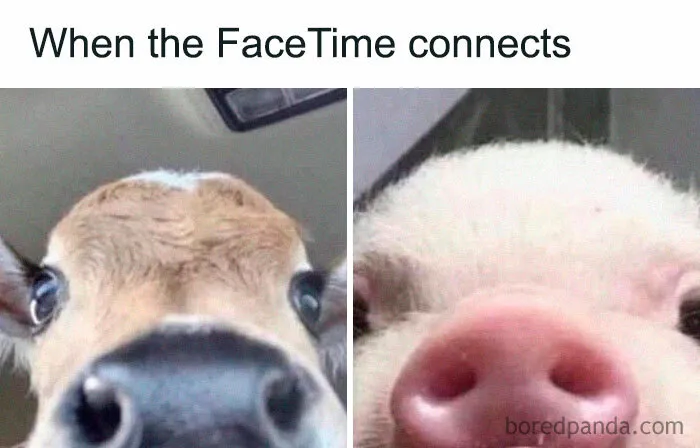 Close-Up Connection Crisis