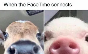 93 Classic Memes That Defined Internet Culture, Still Funny in 2026