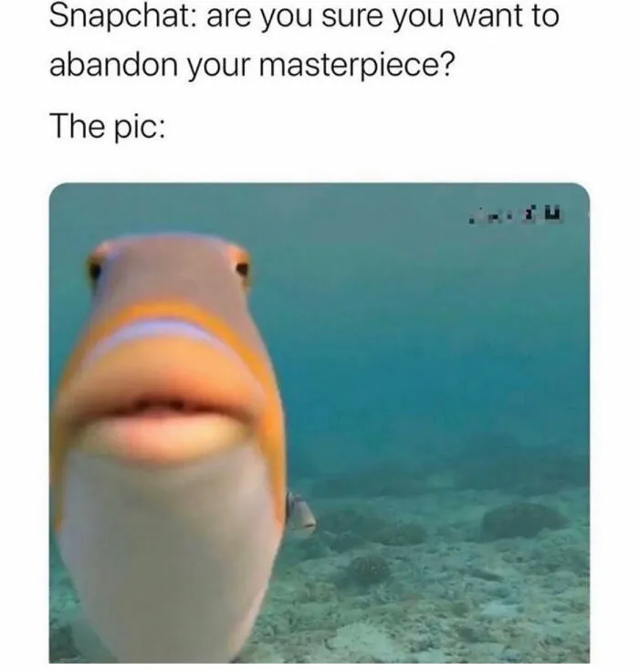 93 Classic Memes That Defined Internet Culture, Still Funny in 2026