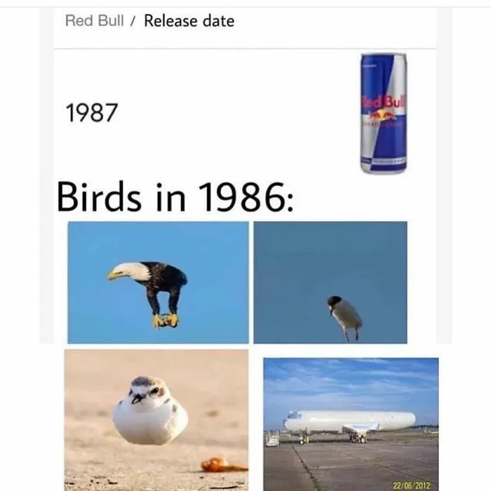 93 Classic Memes That Defined Internet Culture, Still Funny in 2026