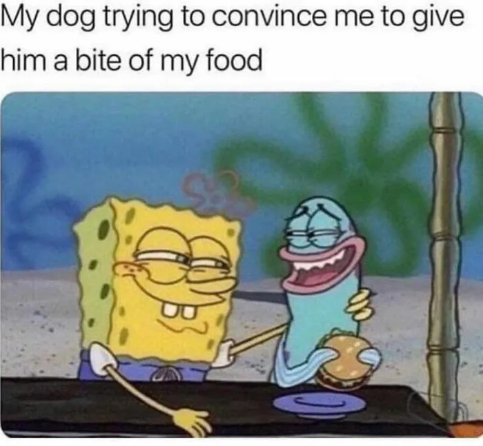93 Classic Memes That Defined Internet Culture, Still Funny in 2026