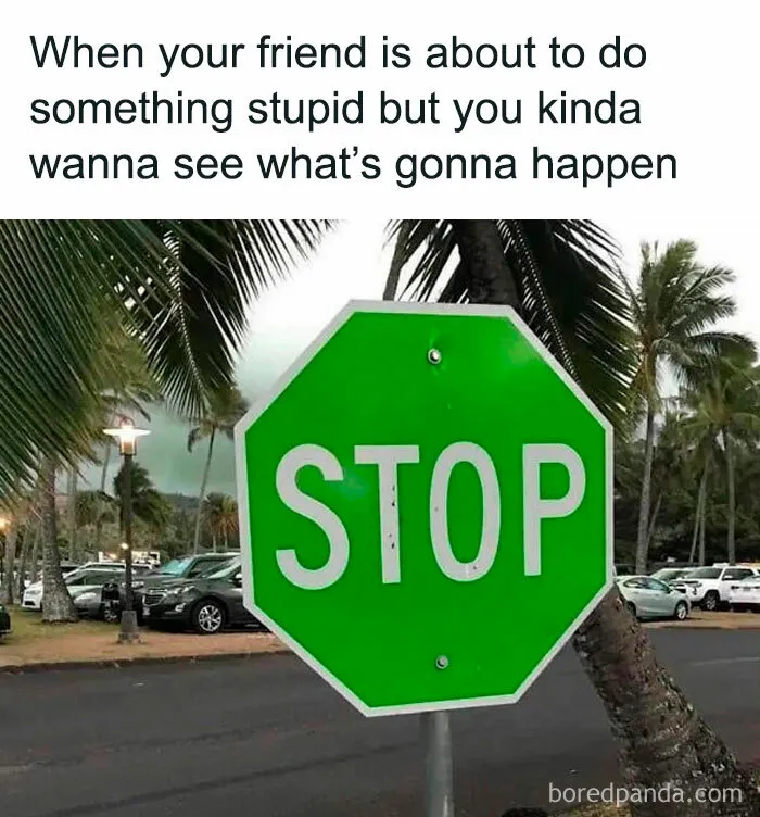 Green stop sign meme with caption about amusingly risky situations, showing internet culture's humor.