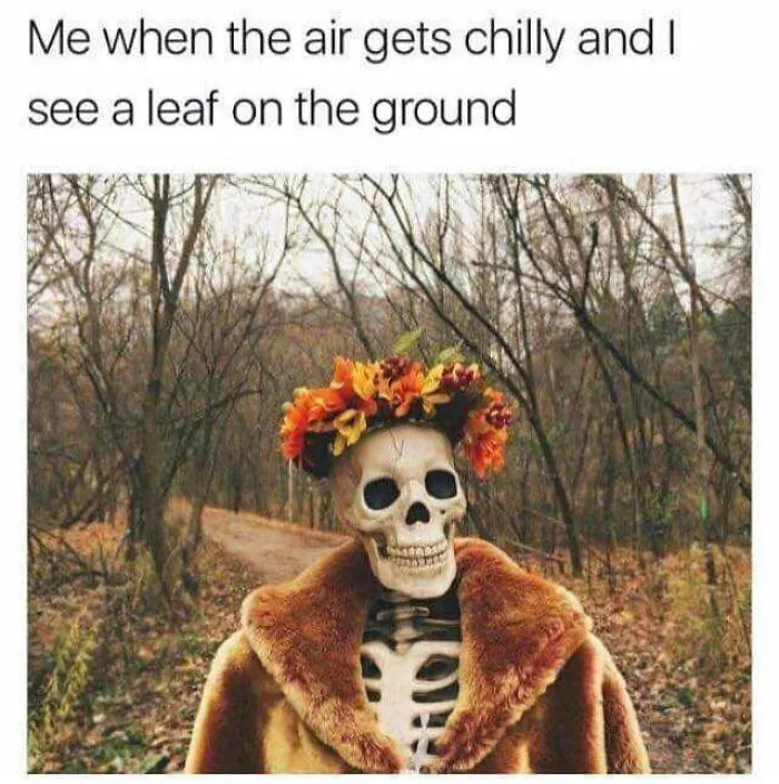 93 Classic Memes That Defined Internet Culture, Still Funny in 2026