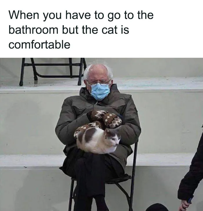 Elderly man with cat on lap, wearing a mask and mittens, sitting comfortably. Humorous catnip meme about not moving the cat.