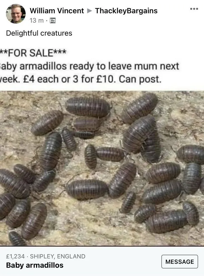 Lol