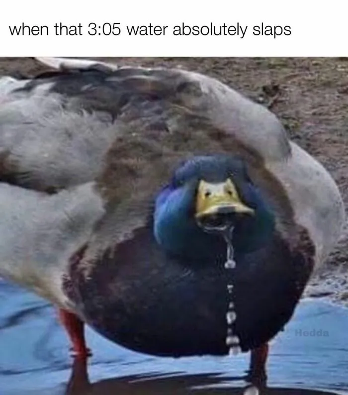 People Are Creating Memes About Nature And All Things Environment, Here Are 35 Of The Best Ones Shared On This Facebook Page