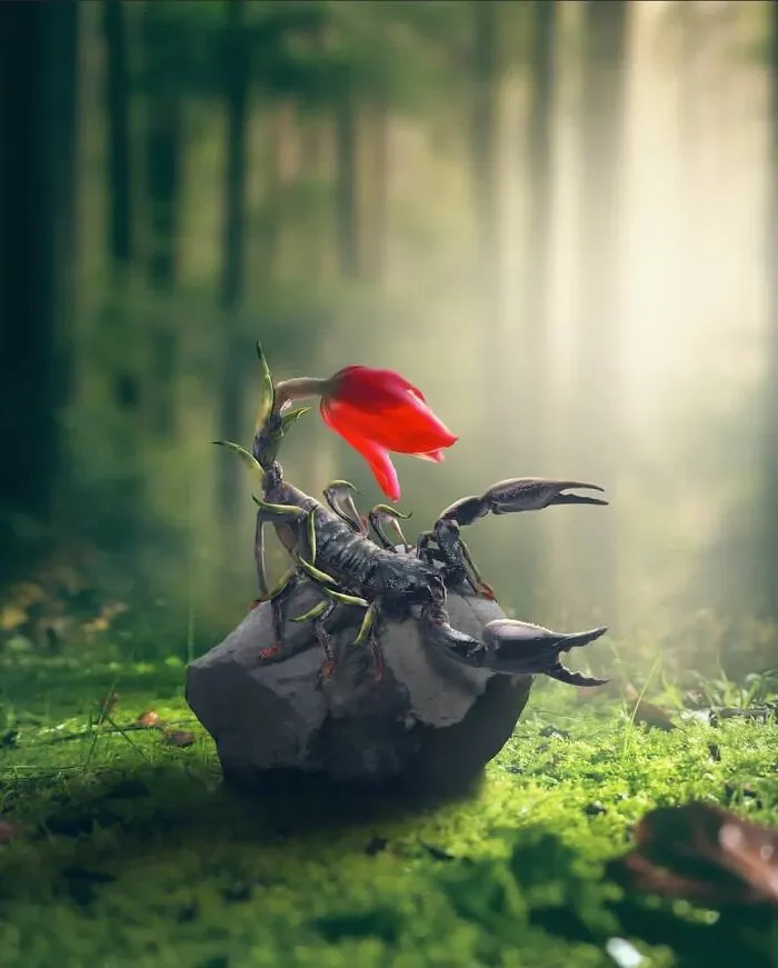 Artist Uses His Photoshop Skills To Create 48 Fantasy Edits And Surreal Worlds