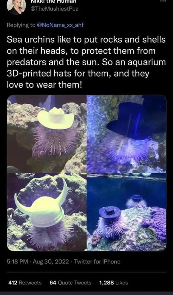 People Are Creating Memes About Nature And All Things Environment, Here Are 35 Of The Best Ones Shared On This Facebook Page