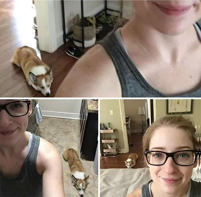 En los días perezosos, mi corgi me sigue a regañadientes por toda la casa, dejándose caer dramáticamente detrás de mí en cada habitación
