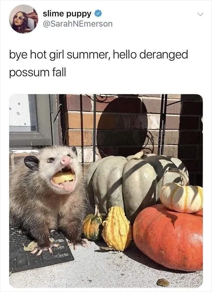 People Are Creating Memes About Nature And All Things Environment, Here Are 35 Of The Best Ones Shared On This Facebook Page