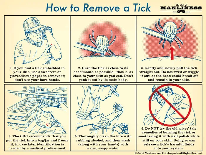 23 Survival Tips And Tricks You Might Not Have Known, As Shared By This Twitter Page