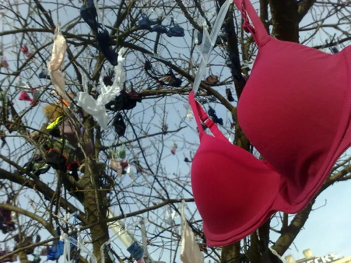 Having The Right Bra