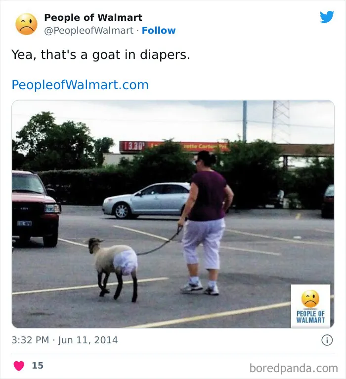 Person walks a goat in diapers at Walmart parking lot.