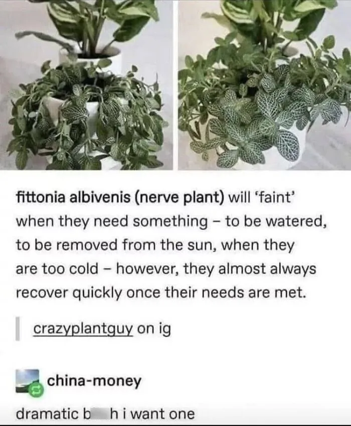 People Are Creating Memes About Nature And All Things Environment, Here Are 35 Of The Best Ones Shared On This Facebook Page