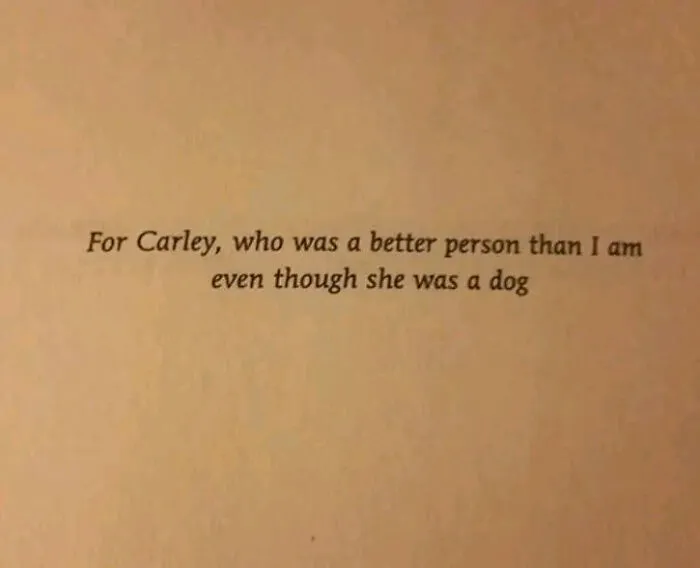 40 Examples Of Writers Leaving Fun And Unique Surprises "Dedicated To Those Who Read The Dedications"