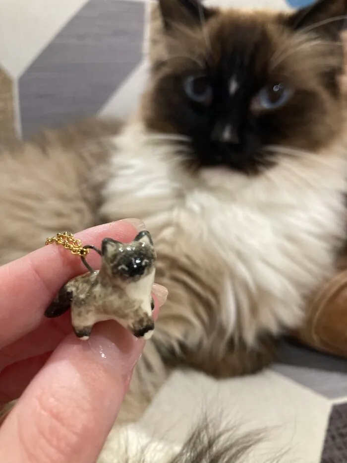 I’ve Always Loved Ceramics And Started Creating Customized Pet Portrait Charms (23 Pics)