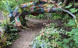 45 Creepy Forests You’d Better Not Walk In At Night
