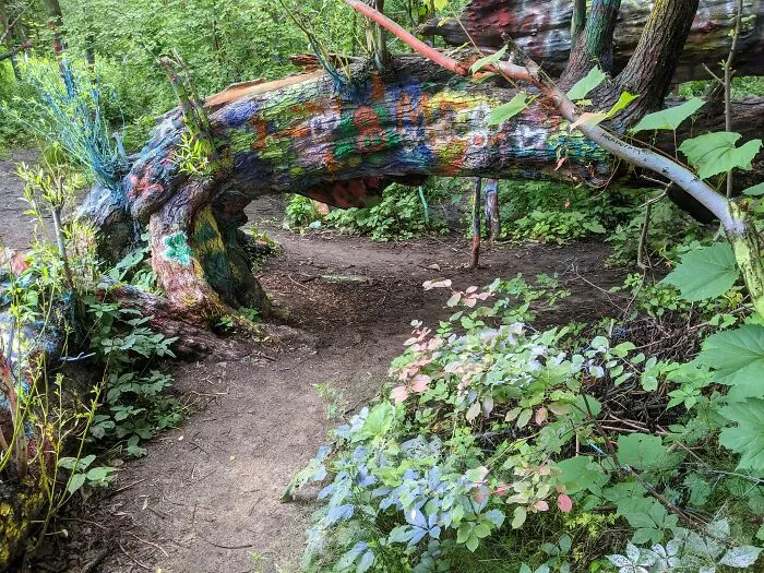 The Hippie Tree, Traverse City, Michigan