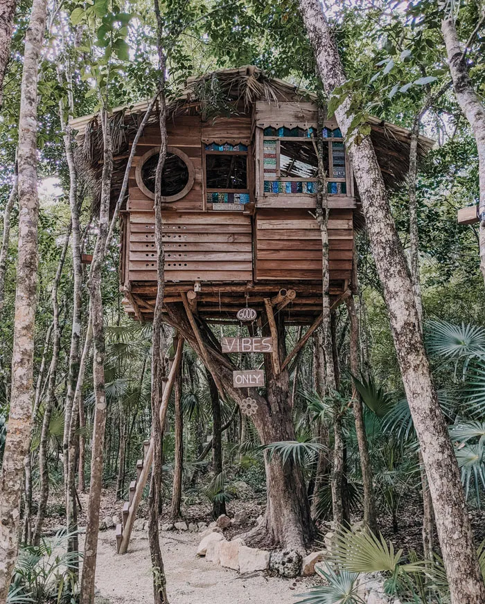 How Would You Design A Treehouse?