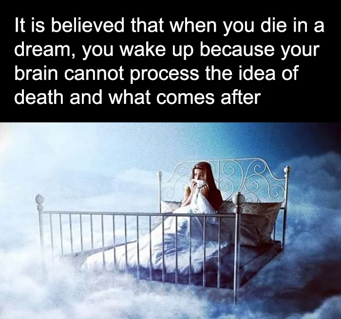 Woman lying scared on bed surrounded by fog, illustrating creepy facts to deprive somebody of sleep concept.