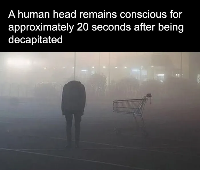 Decapitated human body standing without a head near a shopping cart in foggy surroundings, creepy unsettling scene.