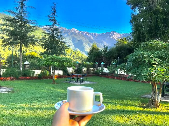 This Is My Cup Of Tea 🤩