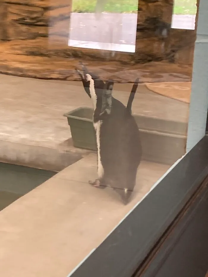 Was At A Zoo… Got This Beauty