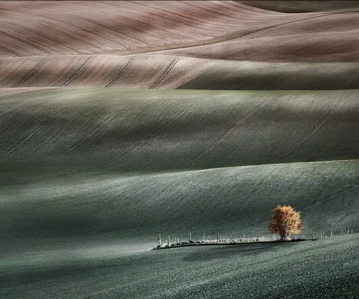 Your View Commended: Peter North, 'Undulating Fields'