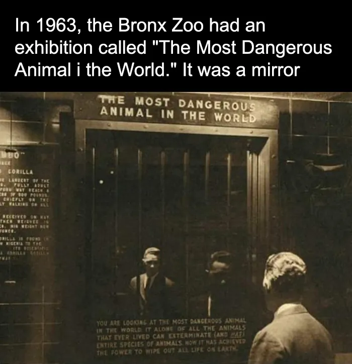 Mirror of Menace