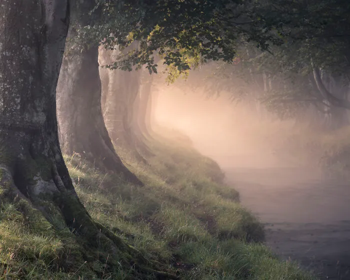 Your View Commended: Paul Killeen, 'Morning Glory'