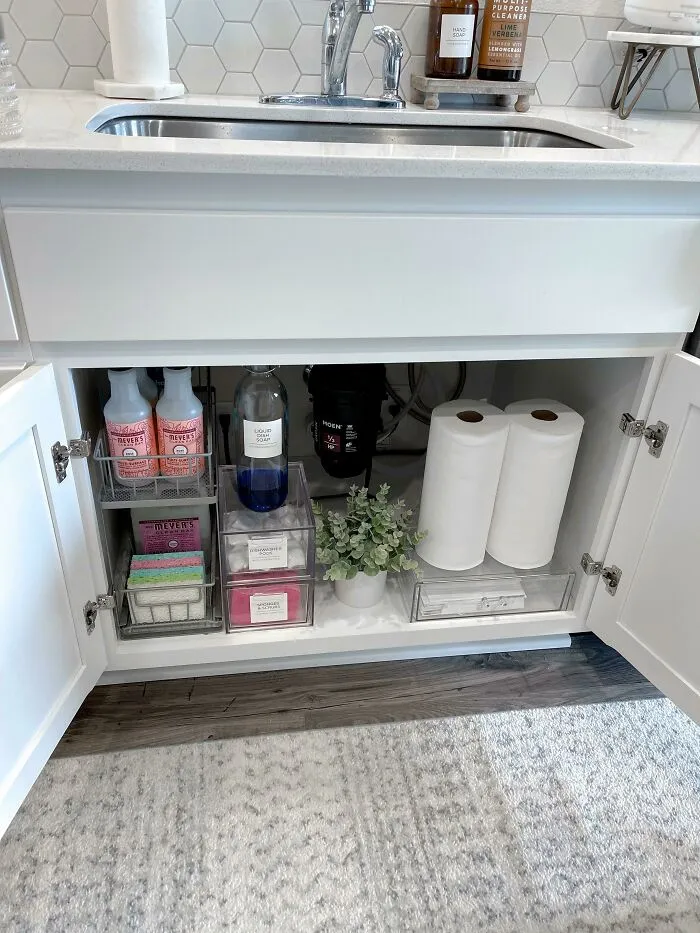 Hoy, reorganicé el espacio debajo del lavabo de la cocina. Sí, agregué una planta de plástico para que se vea un poco mejor