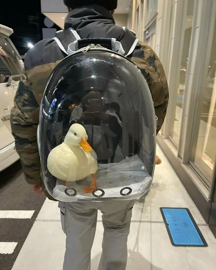 Hmmm