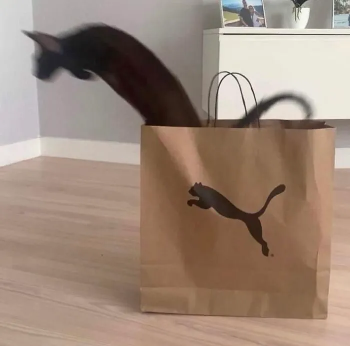 50 Pics Without Context That Get Weirder And Weirder The Longer You Look At Them, As Shared On This Online Group (New Pics)
