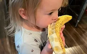 50 Times People Realized They Were Living With A ‘Monster’ And Just Had To Share The Evidence
