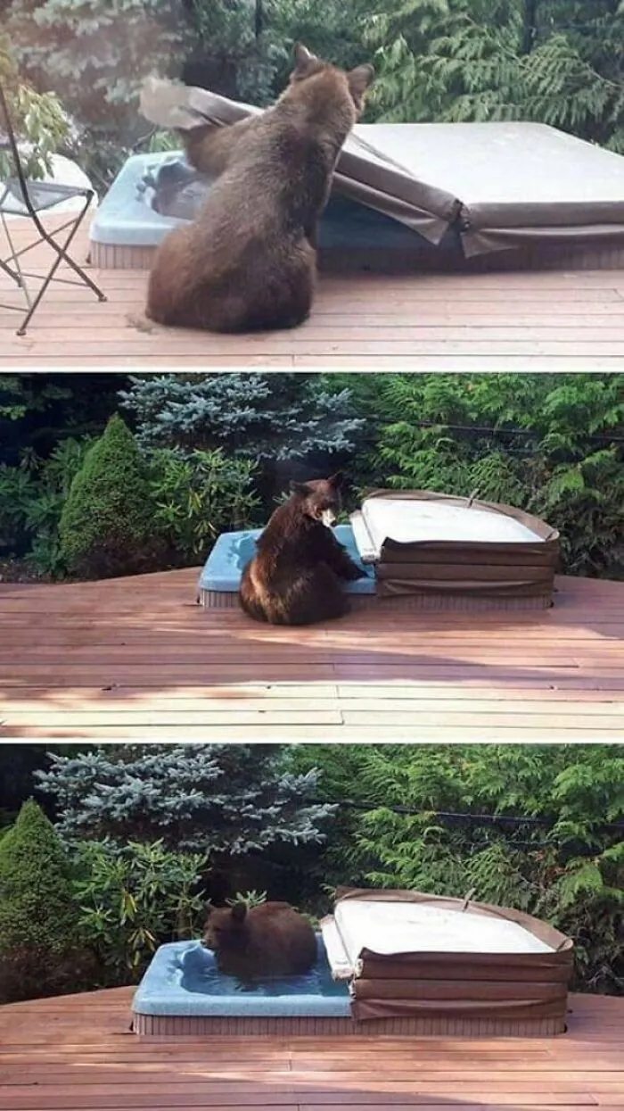 He Knows Where The Good Bath Is Hidden?