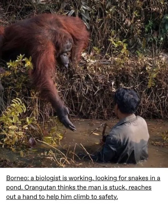 A Bit Of An Anthropomorphization In The Description, But Certainly Interesting