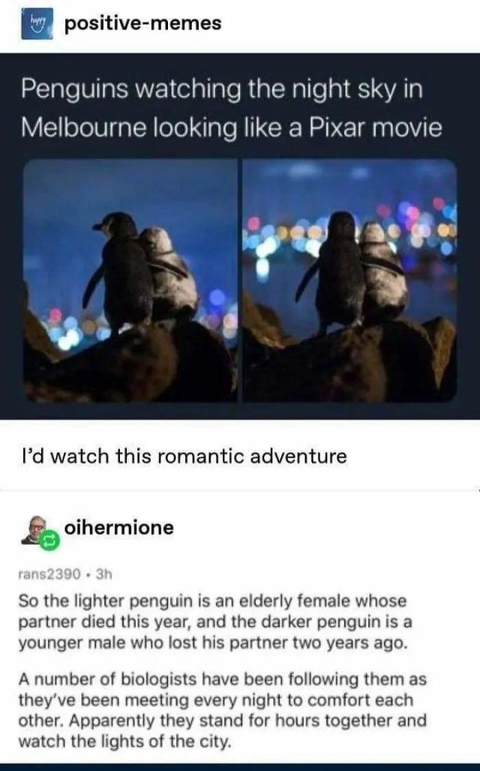 Being There For Eachother