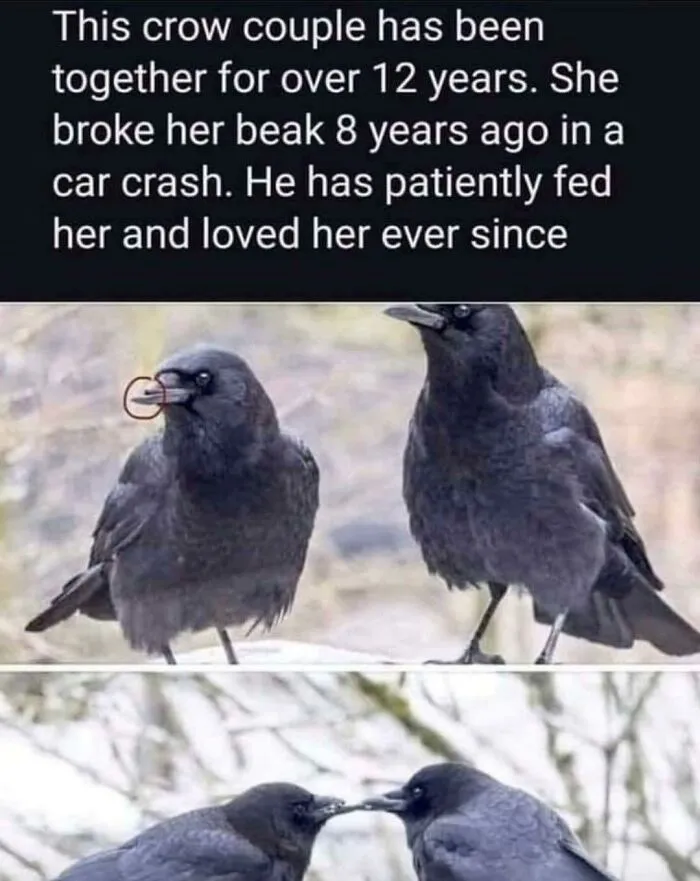 Awwwwwwwwww