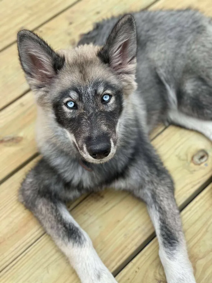 Sus ojos. Casi 5 meses de edad