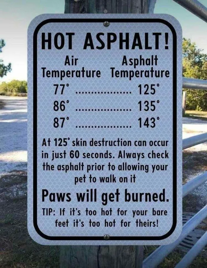 Keep Those Paws Safe This Summer