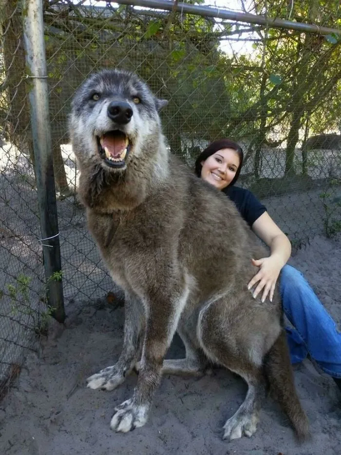 Here's One Of Our Rescues, Yuki