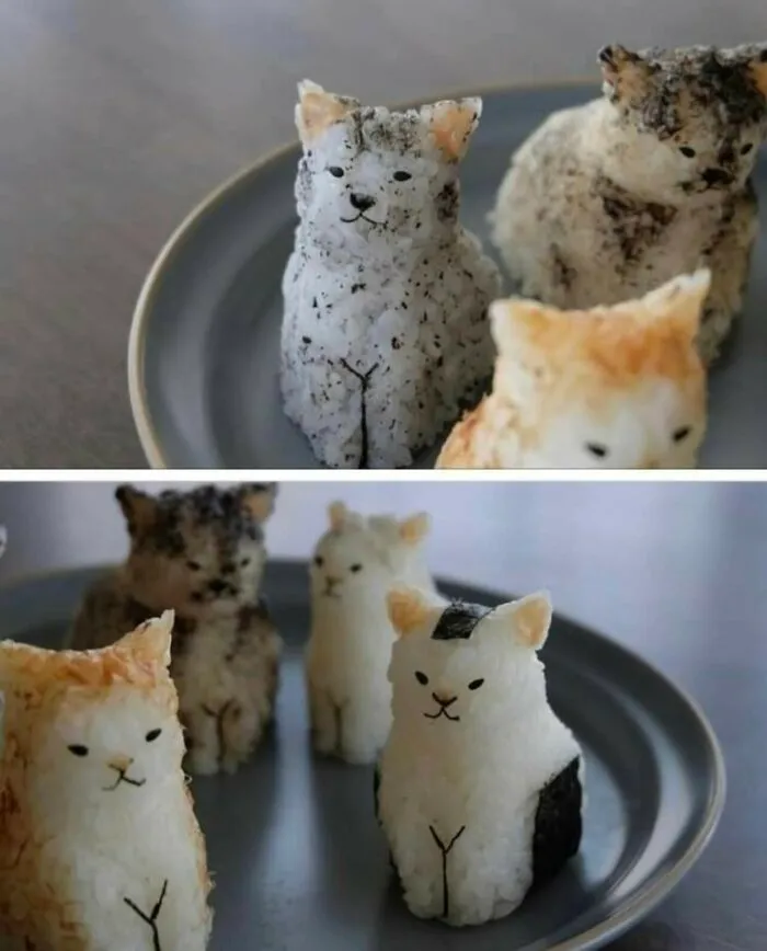 These Onigiri (Rice Balls) Perfectly Shaped Like Cats