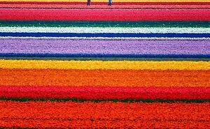 This Online Group Is Dedicated To Things That Are Inexplicably Satisfying, Here Are 50 Of The Best Ones (New Pics)