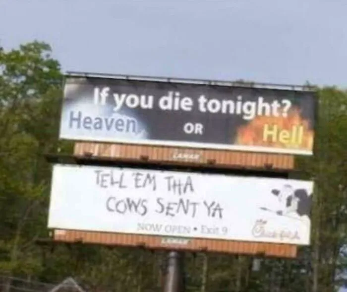 “Bro That Cow Is Way Too Good At Fighting”