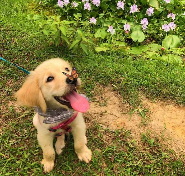 Things Will Get Better Frens!