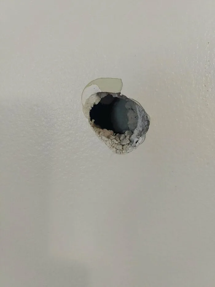 Un tipo cortando el césped disparó una piedra a través de mi ventana