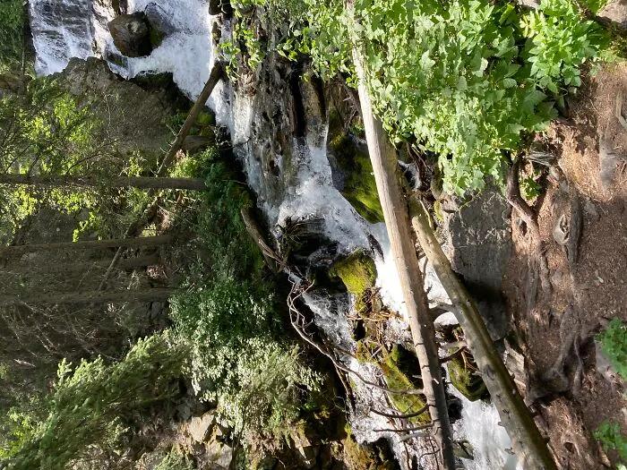 Nature